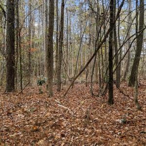Photo #16 of SOLD property in Off Ronald Tharrington Rd, Louisburg, NC 35.4 acres