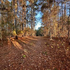 Photo #19 of SOLD property in Off Ronald Tharrington Rd, Louisburg, NC 35.4 acres