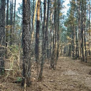 Photo #21 of SOLD property in Off Ronald Tharrington Rd, Louisburg, NC 35.4 acres