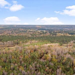Photo #9 of SOLD property in Off Ronald Tharrington Rd, Louisburg, NC 35.4 acres