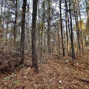 Photo #22 of SOLD property in Off Ronald Tharrington Rd, Louisburg, NC 35.4 acres