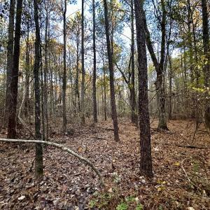 Photo #24 of SOLD property in Off Ronald Tharrington Rd, Louisburg, NC 35.4 acres