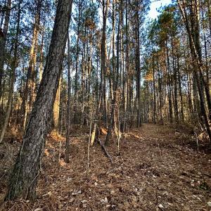 Photo #25 of SOLD property in Off Ronald Tharrington Rd, Louisburg, NC 35.4 acres
