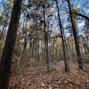 Photo #26 of SOLD property in Off Ronald Tharrington Rd, Louisburg, NC 35.4 acres