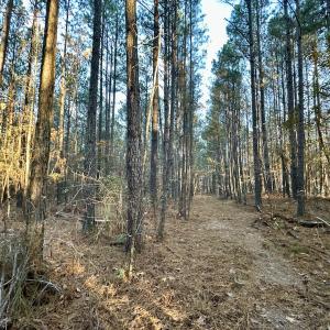 Photo #28 of SOLD property in Off Ronald Tharrington Rd, Louisburg, NC 35.4 acres