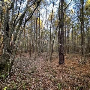 Photo #30 of SOLD property in Off Ronald Tharrington Rd, Louisburg, NC 35.4 acres