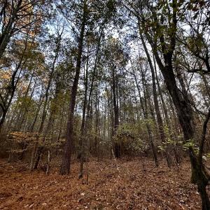 Photo #31 of SOLD property in Off Ronald Tharrington Rd, Louisburg, NC 35.4 acres