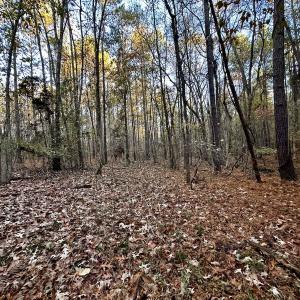 Photo #32 of SOLD property in Off Ronald Tharrington Rd, Louisburg, NC 35.4 acres