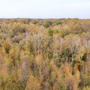 Photo #11 of Off Swing Dairg Road, Lexington, NC 27.1 acres