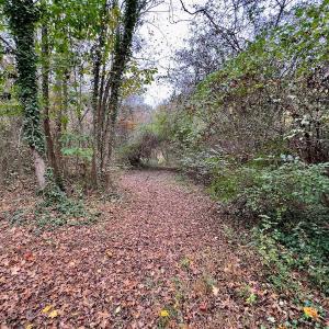 Photo #12 of Off Swing Dairg Road, Lexington, NC 27.1 acres