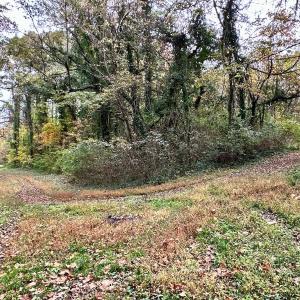 Photo #13 of Off Swing Dairg Road, Lexington, NC 27.1 acres