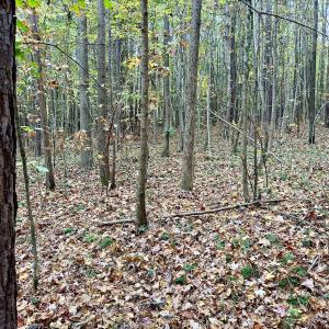 Photo #15 of Off Swing Dairg Road, Lexington, NC 27.1 acres