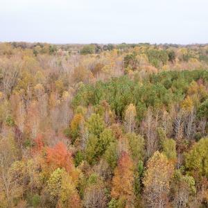 Photo #18 of Off Swing Dairg Road, Lexington, NC 27.1 acres