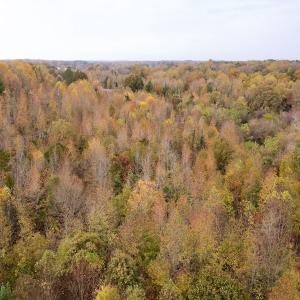 Photo #19 of Off Swing Dairg Road, Lexington, NC 27.1 acres