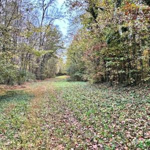 Photo #20 of Off Swing Dairg Road, Lexington, NC 27.1 acres