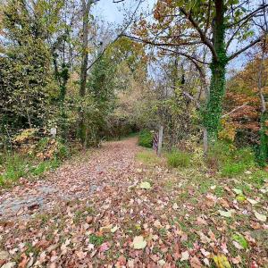 Photo #5 of Off Swing Dairg Road, Lexington, NC 27.1 acres