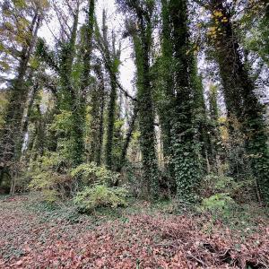 Photo #7 of Off Swing Dairg Road, Lexington, NC 27.1 acres