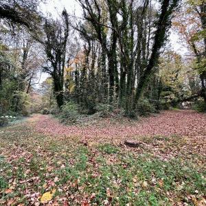 Photo #8 of Off Swing Dairg Road, Lexington, NC 27.1 acres