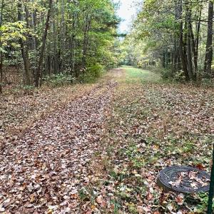 Photo #21 of Off Swing Dairg Road, Lexington, NC 27.1 acres