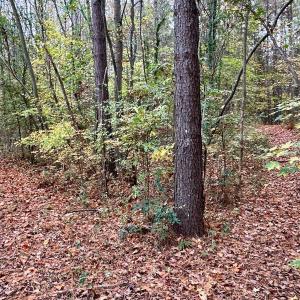 Photo #24 of Off Swing Dairg Road, Lexington, NC 27.1 acres