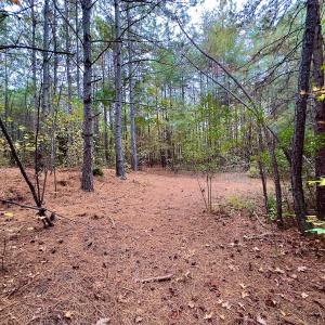 Photo #25 of Off Swing Dairg Road, Lexington, NC 27.1 acres