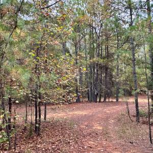 Photo #26 of Off Swing Dairg Road, Lexington, NC 27.1 acres