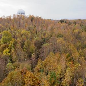 Photo #28 of Off Swing Dairg Road, Lexington, NC 27.1 acres