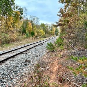 Photo #33 of Off Swing Dairg Road, Lexington, NC 27.1 acres
