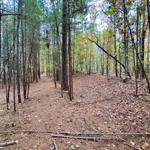 Photo #34 of Off Swing Dairg Road, Lexington, NC 27.1 acres