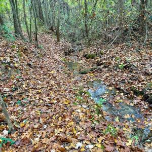 Photo #36 of Off Swing Dairg Road, Lexington, NC 27.1 acres