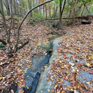 Photo #37 of Off Swing Dairg Road, Lexington, NC 27.1 acres