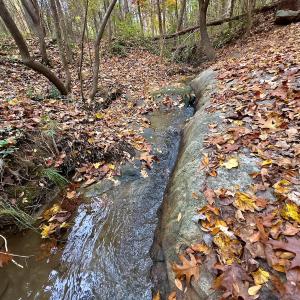 Photo #38 of Off Swing Dairg Road, Lexington, NC 27.1 acres