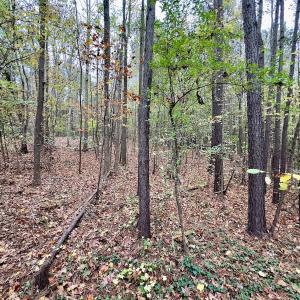 Photo #41 of Off Swing Dairg Road, Lexington, NC 27.1 acres