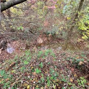 Photo #47 of Off Swing Dairg Road, Lexington, NC 27.1 acres