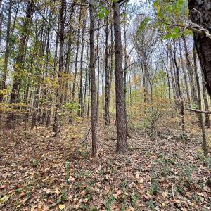 Photo #49 of Off Swing Dairg Road, Lexington, NC 27.1 acres
