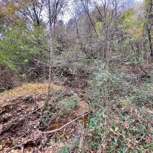 Photo #51 of Off Swing Dairg Road, Lexington, NC 27.1 acres