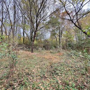 Photo #52 of Off Swing Dairg Road, Lexington, NC 27.1 acres