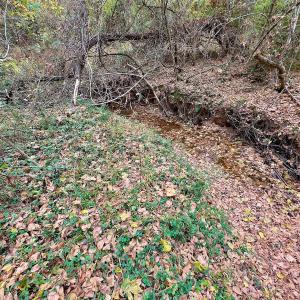 Photo #53 of Off Swing Dairg Road, Lexington, NC 27.1 acres