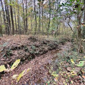 Photo #55 of Off Swing Dairg Road, Lexington, NC 27.1 acres