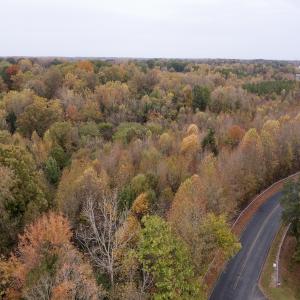 Photo #56 of Off Swing Dairg Road, Lexington, NC 27.1 acres