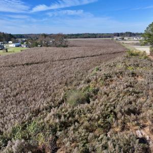 Photo #11 of SOLD property in Off High Level Rd, Pinetops, NC 17.6 acres