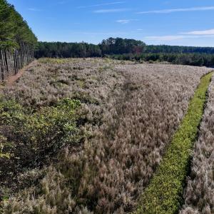 Photo #12 of SOLD property in Off High Level Rd, Pinetops, NC 17.6 acres