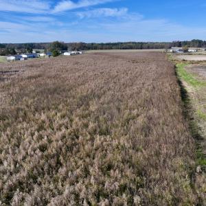 Photo #13 of SOLD property in Off High Level Rd, Pinetops, NC 17.6 acres