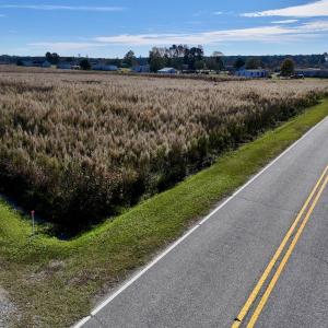 Photo #15 of SOLD property in Off High Level Rd, Pinetops, NC 17.6 acres