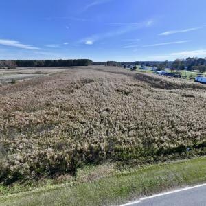 Photo #16 of SOLD property in Off High Level Rd, Pinetops, NC 17.6 acres