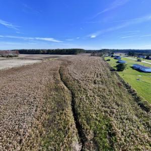 Photo #17 of SOLD property in Off High Level Rd, Pinetops, NC 17.6 acres