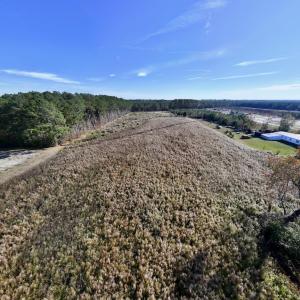 Photo #18 of SOLD property in Off High Level Rd, Pinetops, NC 17.6 acres