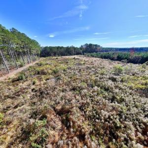 Photo #19 of SOLD property in Off High Level Rd, Pinetops, NC 17.6 acres