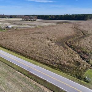 Photo #2 of SOLD property in Off High Level Rd, Pinetops, NC 17.6 acres
