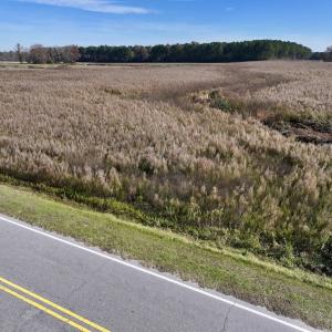 Photo #3 of SOLD property in Off High Level Rd, Pinetops, NC 17.6 acres